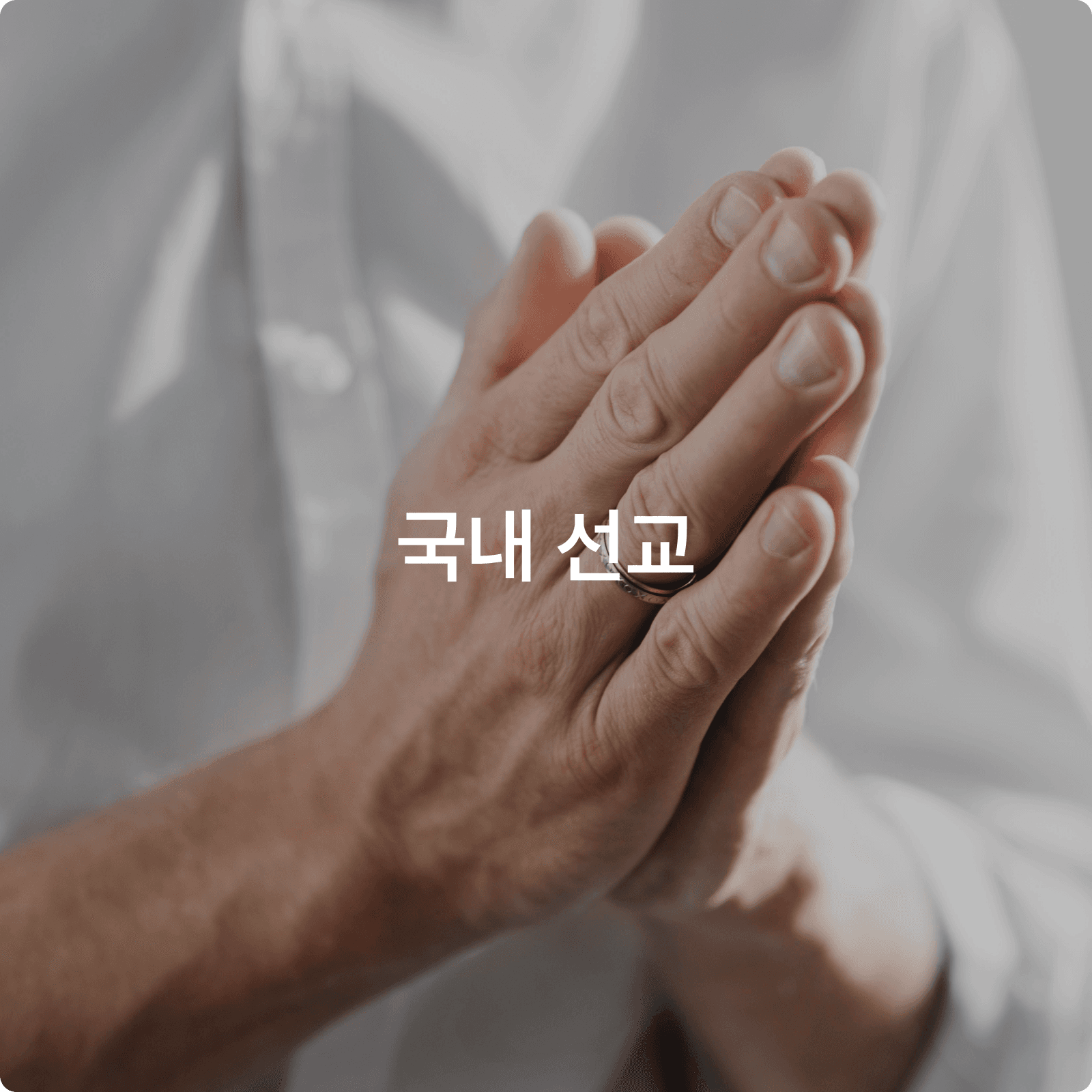 국내 선교